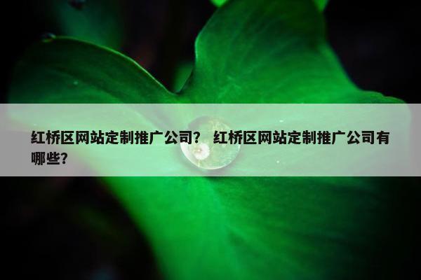 红桥区网站定制推广公司？ 红桥区网站定制推广公司有哪些？