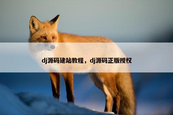 dj源码建站教程，dj源码正版授权