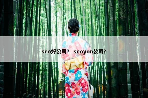 seo好公司？ seoyon公司？