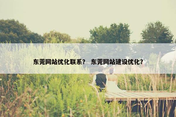 东莞网站优化联系？ 东莞网站建设优化？