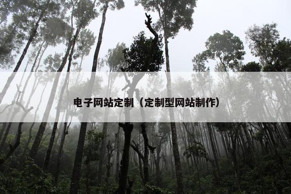 电子网站定制（定制型网站制作）