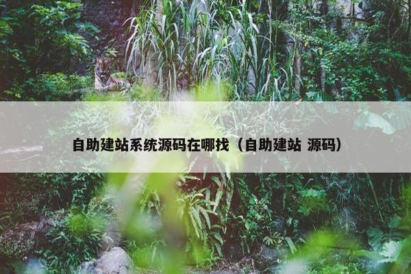 自助建站系统源码在哪找（自助建站 源码）