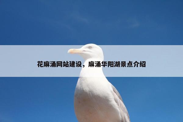 花麻涌网站建设，麻涌华阳湖景点介绍