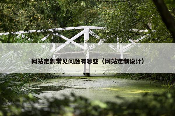 网站定制常见问题有哪些（网站定制设计）