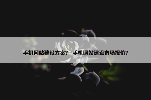 手机网站建设方案？ 手机网站建设市场报价？