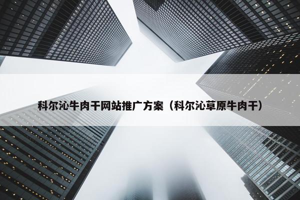 科尔沁牛肉干网站推广方案（科尔沁草原牛肉干）