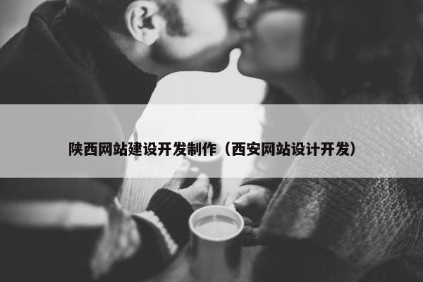 陕西网站建设开发制作（西安网站设计开发）