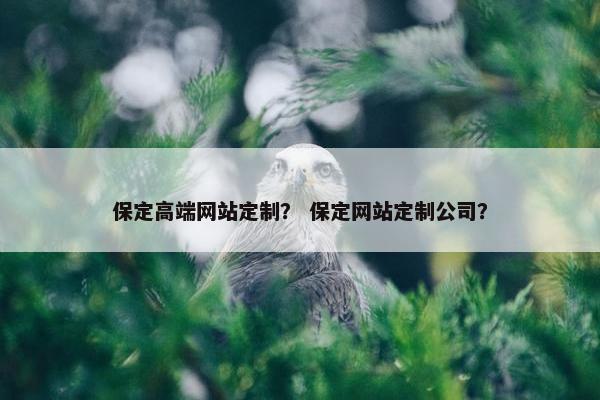 保定高端网站定制？ 保定网站定制公司？