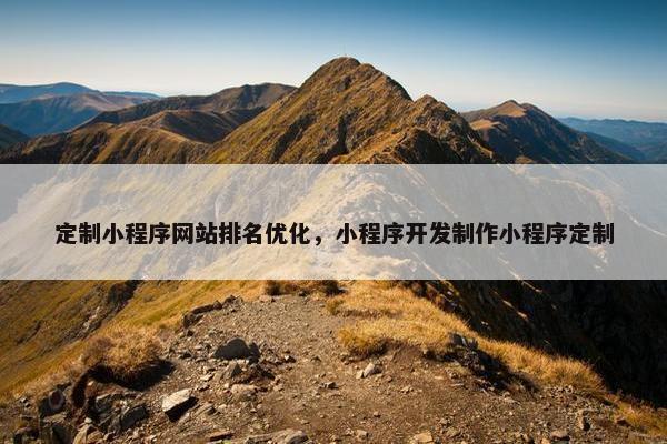 定制小程序网站排名优化，小程序开发制作小程序定制