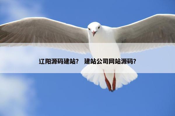 辽阳源码建站？ 建站公司网站源码？