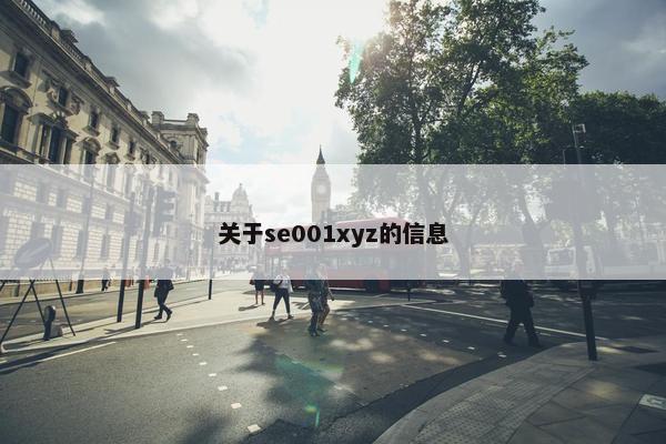 关于se001xyz的信息