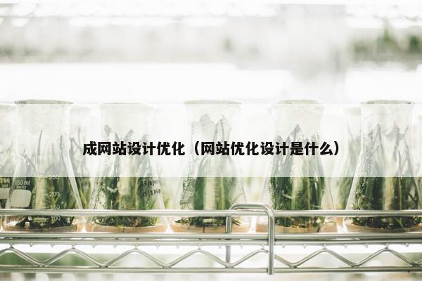成网站设计优化（网站优化设计是什么）