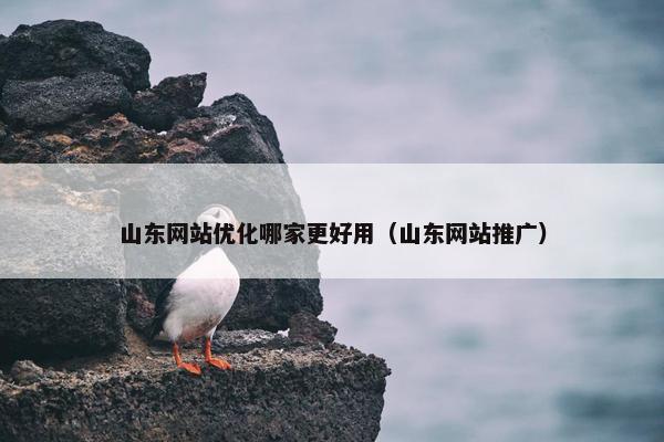 山东网站优化哪家更好用（山东网站推广）