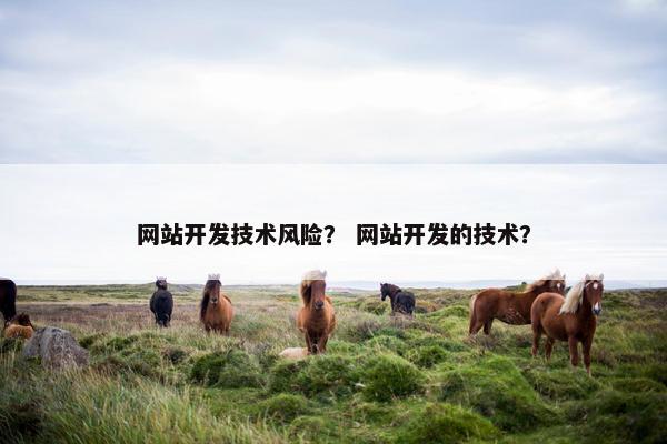 网站开发技术风险？ 网站开发的技术？