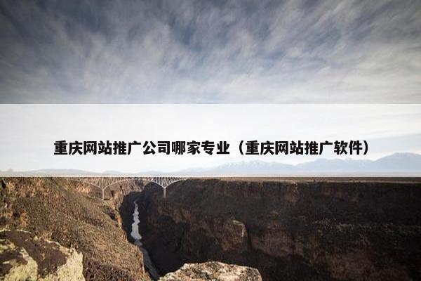 重庆网站推广公司哪家专业（重庆网站推广软件）