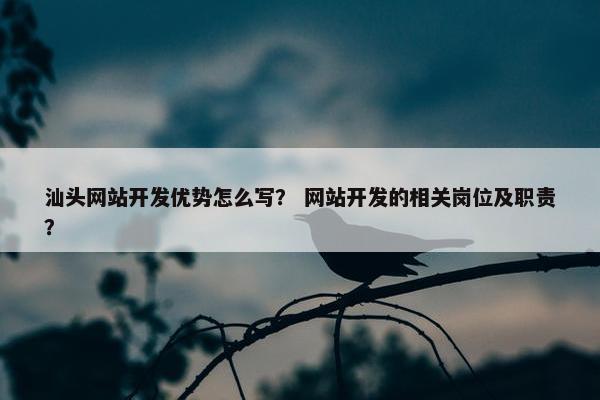 汕头网站开发优势怎么写？ 网站开发的相关岗位及职责？