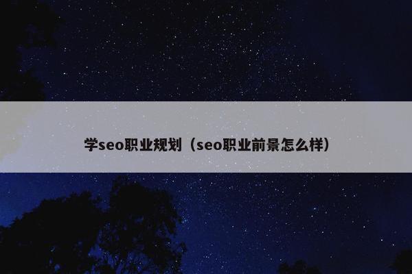 学seo职业规划（seo职业前景怎么样）
