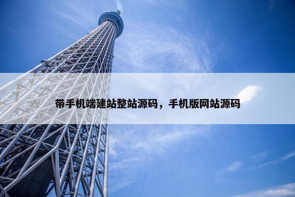 带手机端建站整站源码，手机版网站源码