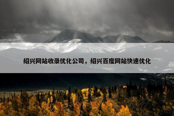 绍兴网站收录优化公司，绍兴百度网站快速优化