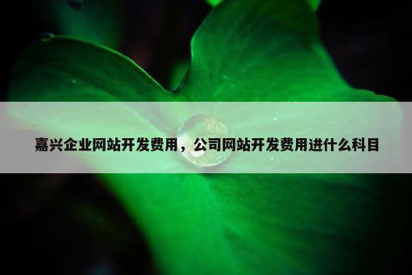 嘉兴企业网站开发费用，公司网站开发费用进什么科目