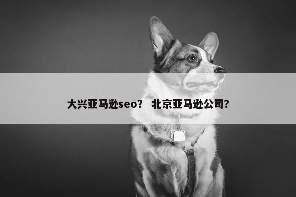 大兴亚马逊seo？ 北京亚马逊公司？