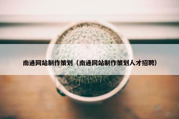 南通网站制作策划（南通网站制作策划人才招聘）
