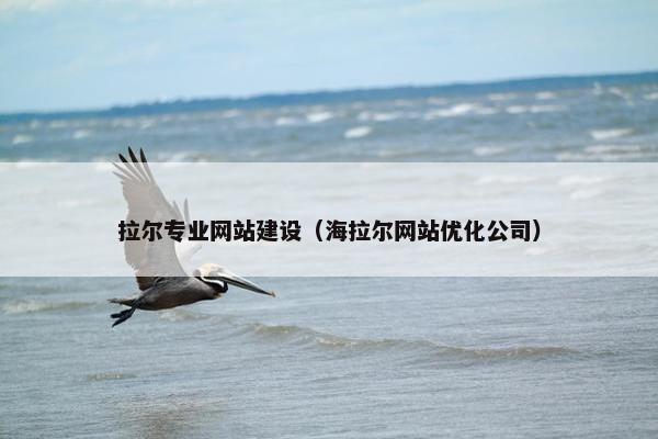 拉尔专业网站建设（海拉尔网站优化公司）