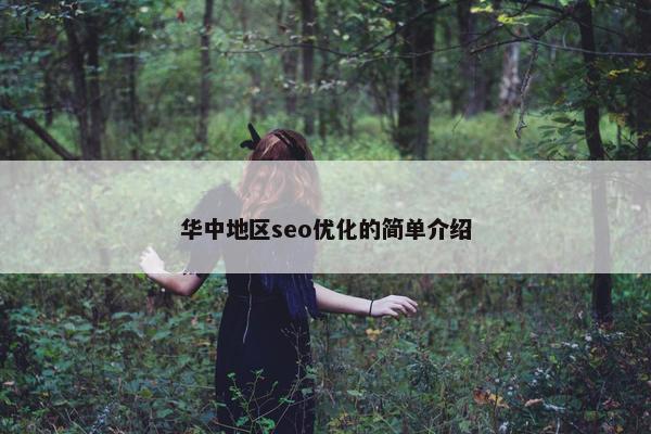 华中地区seo优化的简单介绍