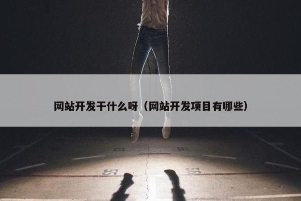 网站开发干什么呀（网站开发项目有哪些）
