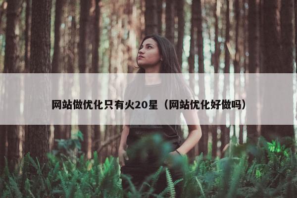 网站做优化只有火20星（网站优化好做吗）