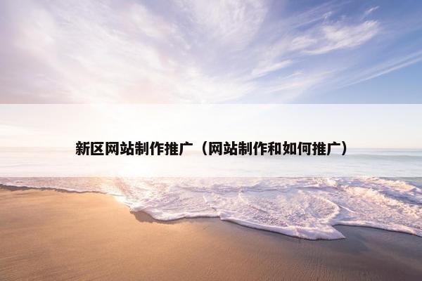 新区网站制作推广（网站制作和如何推广）