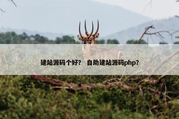 建站源码个好？ 自助建站源码php？