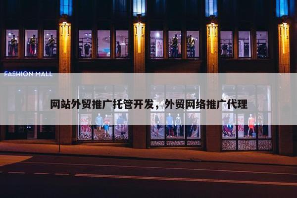 网站外贸推广托管开发，外贸网络推广代理