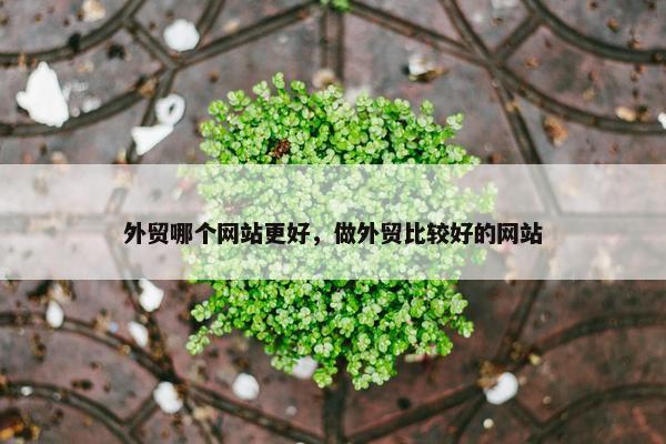 外贸哪个网站更好，做外贸比较好的网站