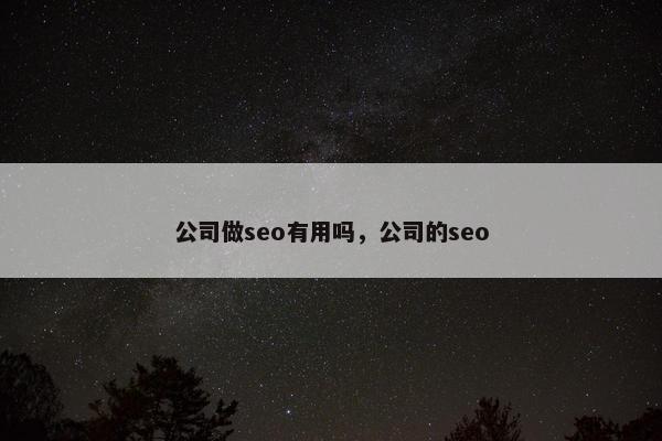 公司做seo有用吗，公司的seo