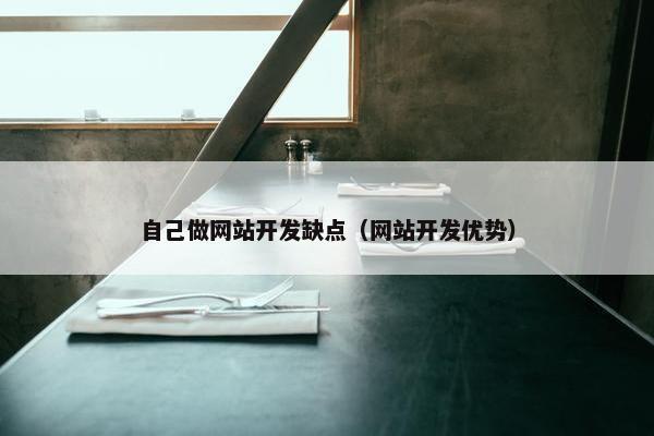 自己做网站开发缺点（网站开发优势）