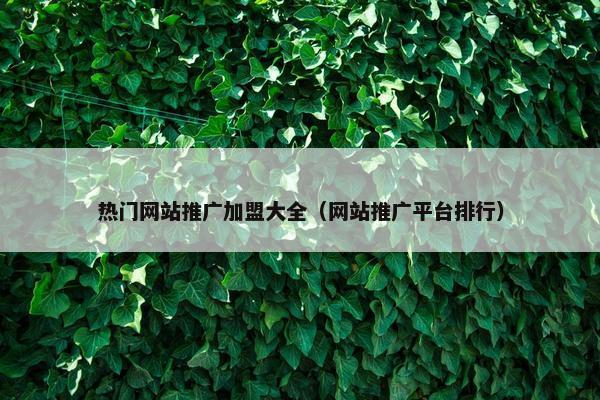热门网站推广加盟大全（网站推广平台排行）