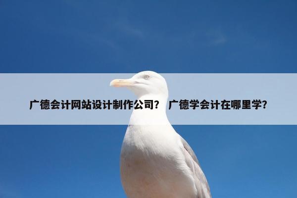 广德会计网站设计制作公司？ 广德学会计在哪里学？