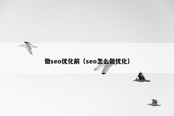 做seo优化前（seo怎么做优化）