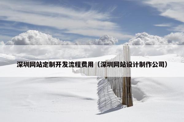 深圳网站定制开发流程费用（深圳网站设计制作公司）