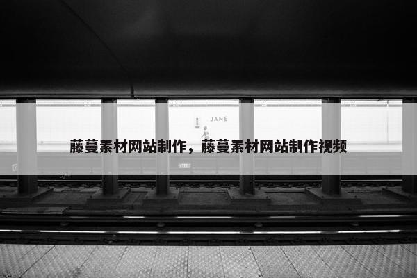 藤蔓素材网站制作，藤蔓素材网站制作视频