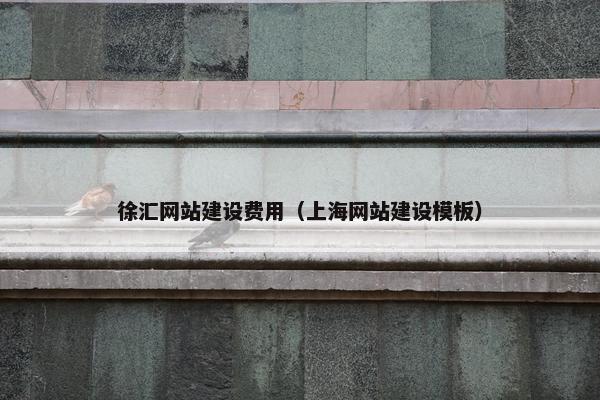 徐汇网站建设费用（上海网站建设模板）
