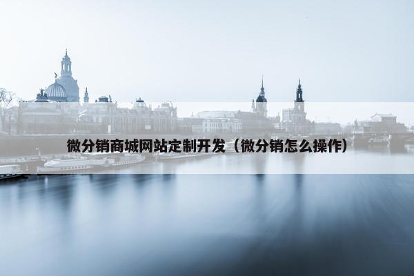 微分销商城网站定制开发（微分销怎么操作）