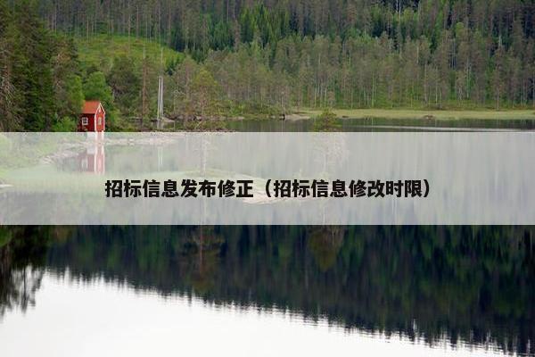招标信息发布修正（招标信息修改时限）