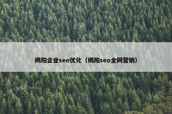 揭阳企业seo优化（揭阳seo全网营销）