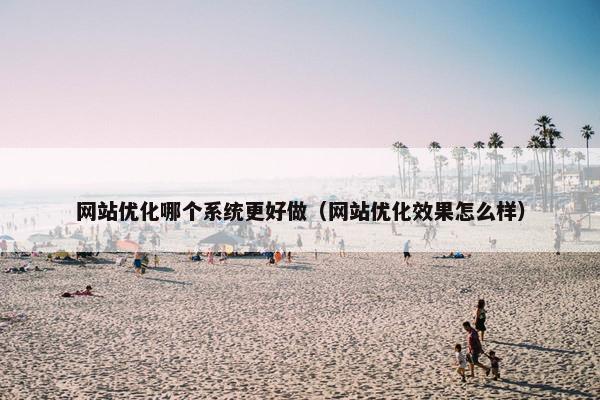 网站优化哪个系统更好做（网站优化效果怎么样）