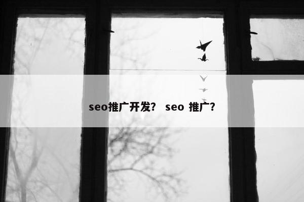 seo推广开发？ seo 推广？