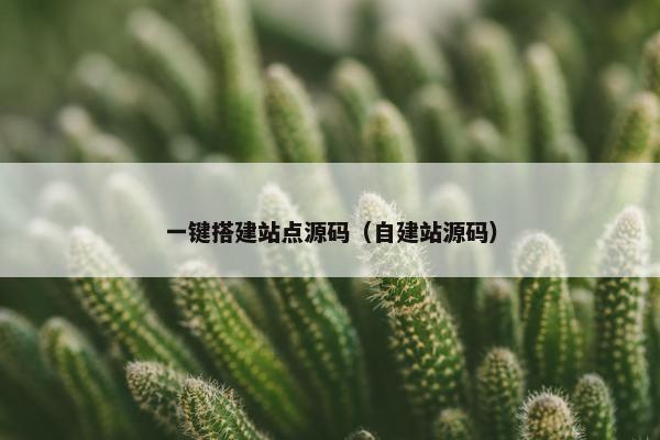 一键搭建站点源码（自建站源码）