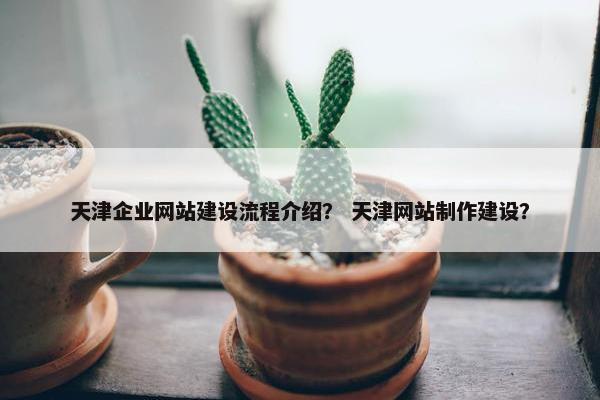 天津企业网站建设流程介绍？ 天津网站制作建设？