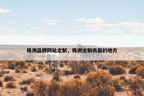 株洲品牌网站定制，株洲定制衣服的地方
